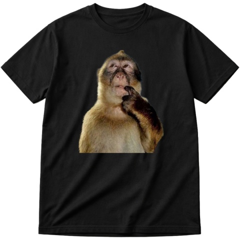 Koszulka z nadrukiem Monke think