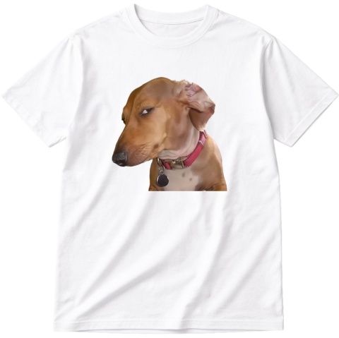 Koszulka z nadrukiem Dog side eye