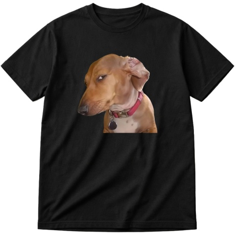 Koszulka z nadrukiem Dog side eye